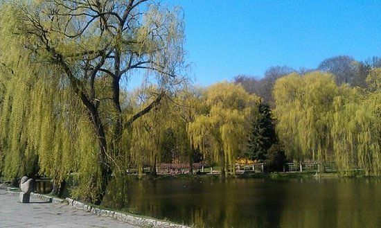 Bazylika Mariacka Wniebowzięcia Najświętszej Maryi Panny